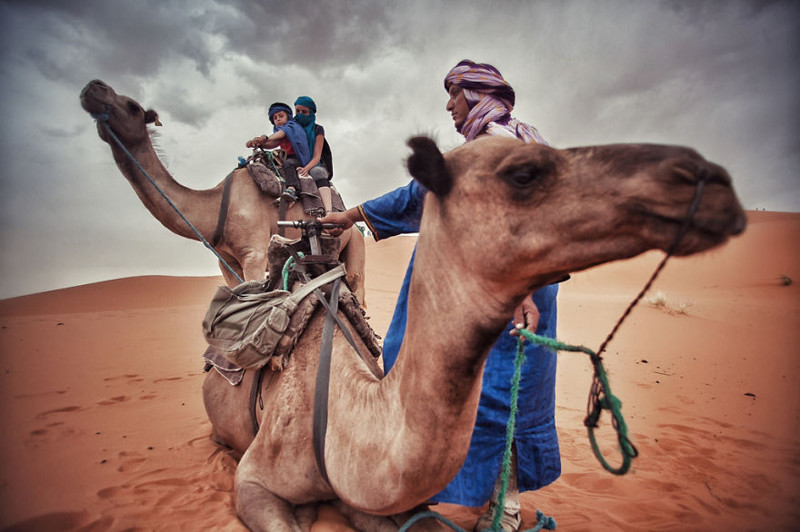 На верблюдах по Сахаре. Мерзуга (Марокко)