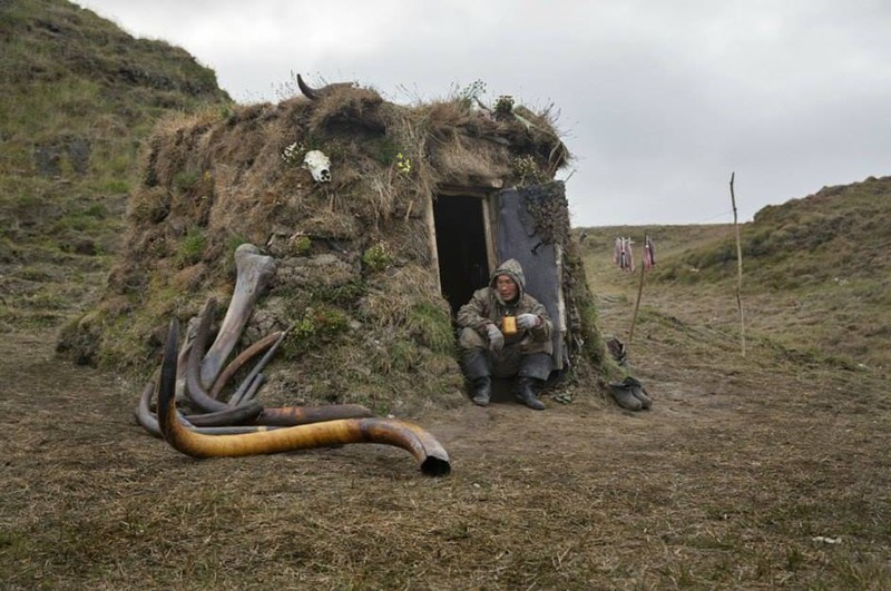Древние якуты принимали торчащие из земли бивни мамонта за рога мифического Быка холода