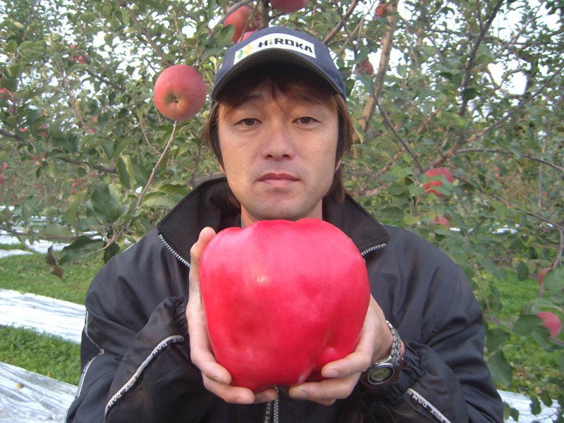 Яблоко весом 2 килограмма.