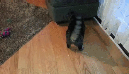 воспитание не удается... воспитание не удается...