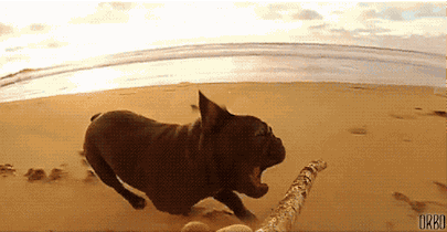 Французы такие французы