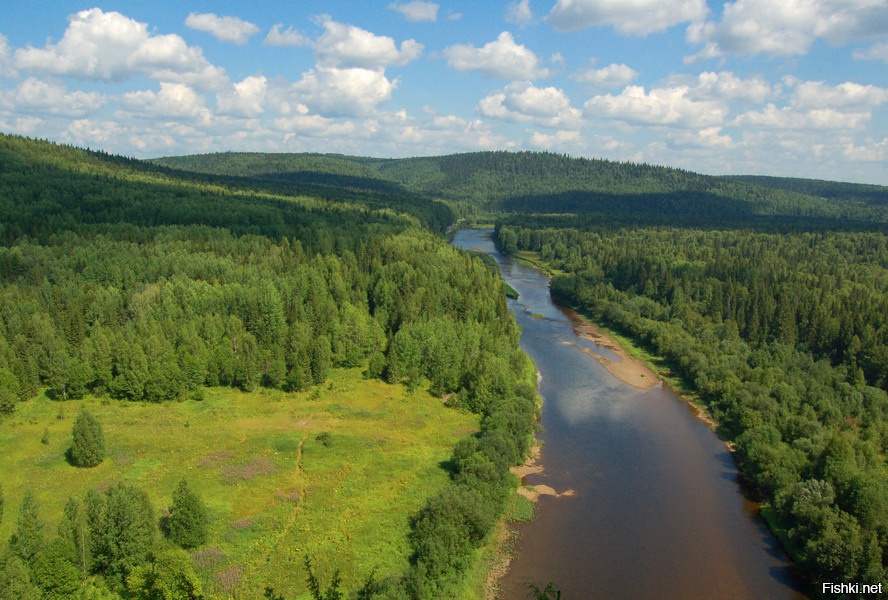 Фото Тайги России