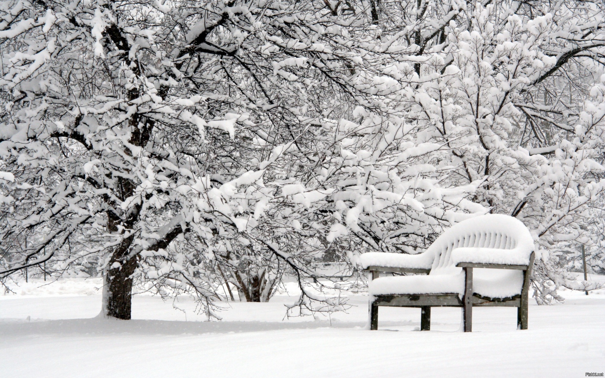 снег лежал на скамейках сквера накрывал