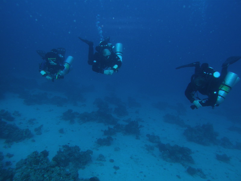 Змей, или история одного выхода