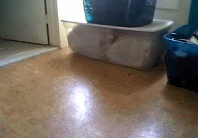 Место специально для кота
