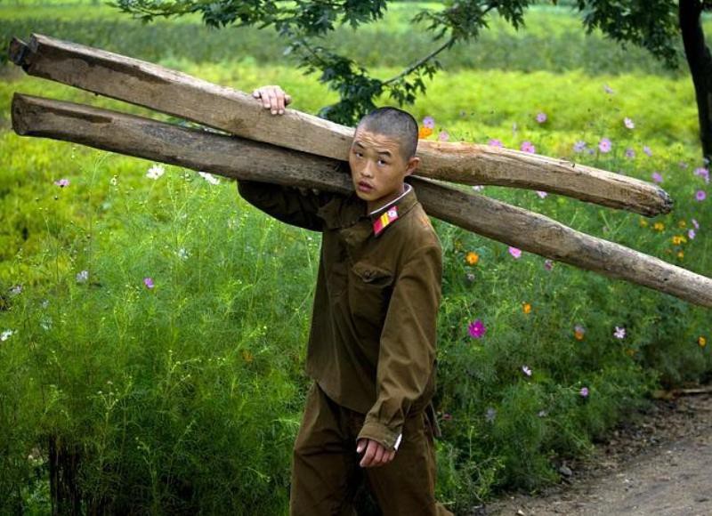 Хотя армия Северной Кореи является одной из самых крупнейших в мире, в реальности Северная Корея не может содержать более миллиона человек в действующих войсках. И часто, как показано на фото, солдаты работают за еду или деньги.