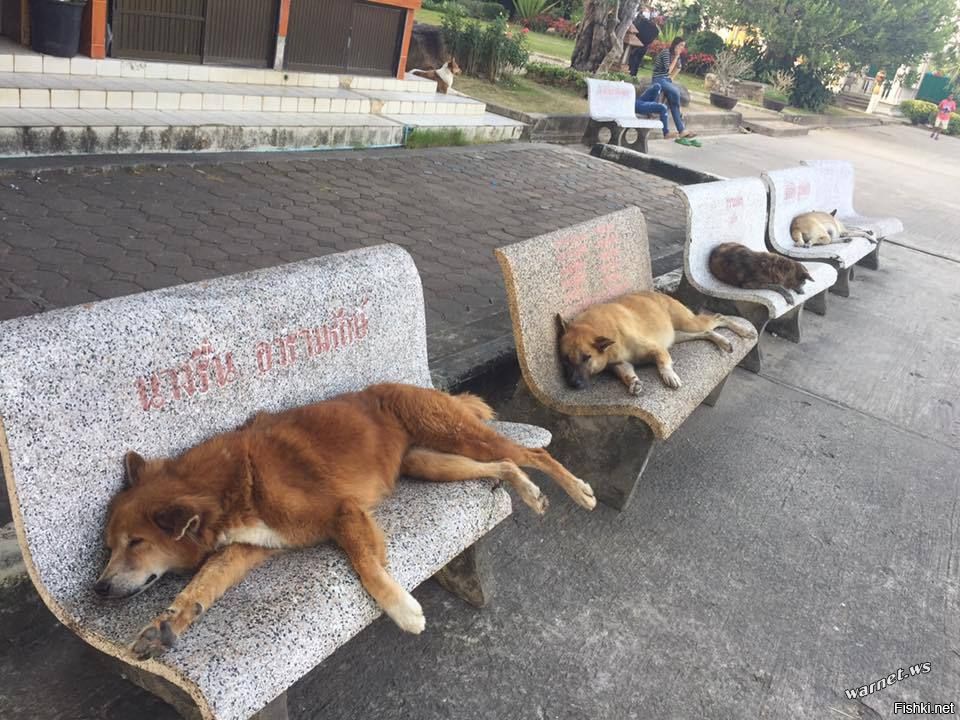 На этом фото явно что то не так