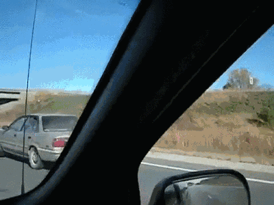 Не часто такого пассажира увидишь