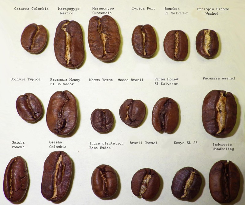 Кофе - виды, сорта. Как выбрать правильный кофе?