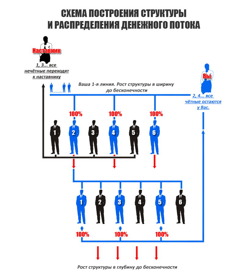 Ростом структура. Рост структуры. Иерархия роста производителя.