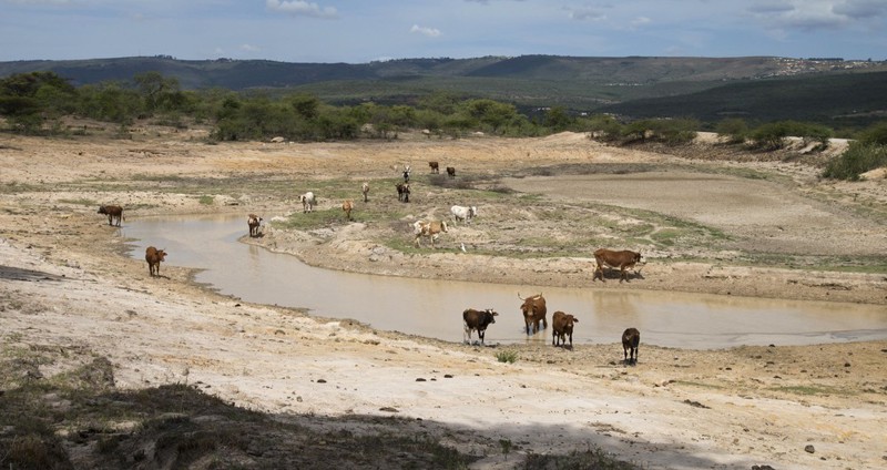 Эль-Ниньо усугубляет засуху в Южной Африке