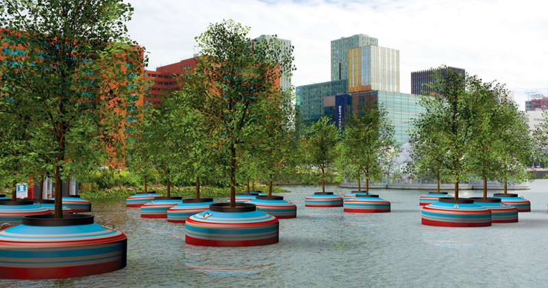 В этом году в Роттердаме появятся 20 плавающих деревьев
