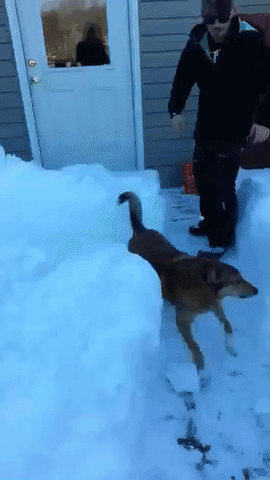 Только после тебя