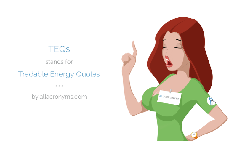 6. Торговые Энергетические Квоты (Tradable Energy Quotas, TEQs)