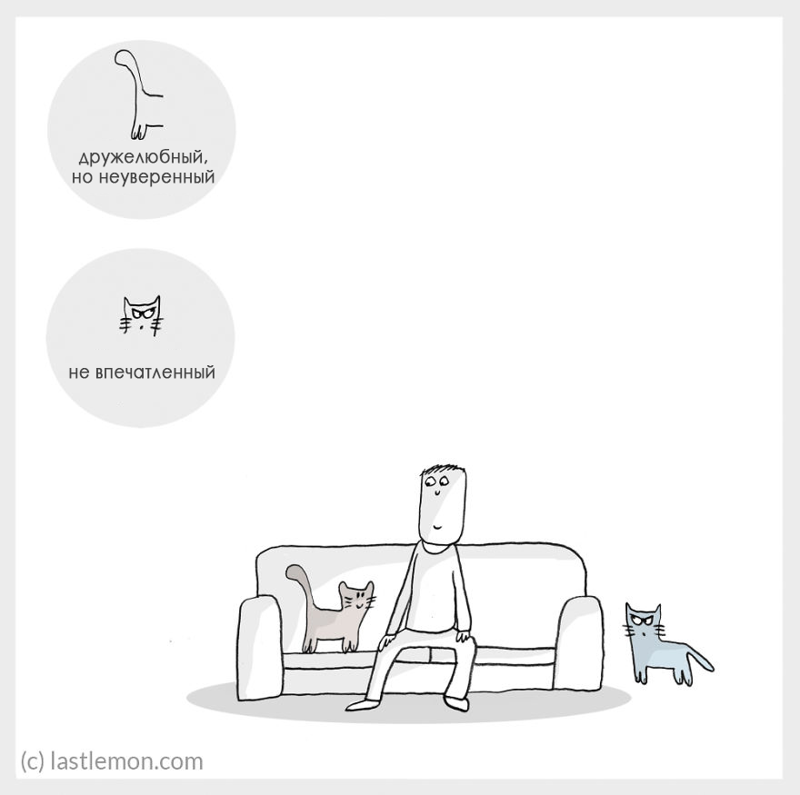 Все оттенки настроения кота в одном забавном комиксе