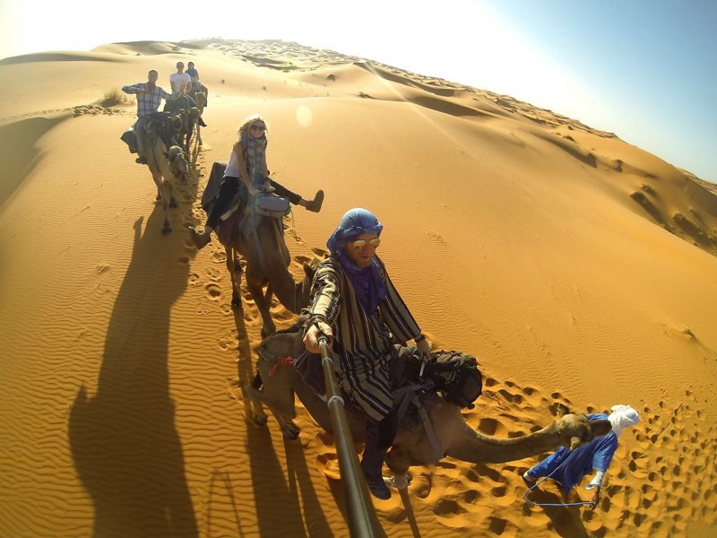 Катались на верблюдах в Сахаре