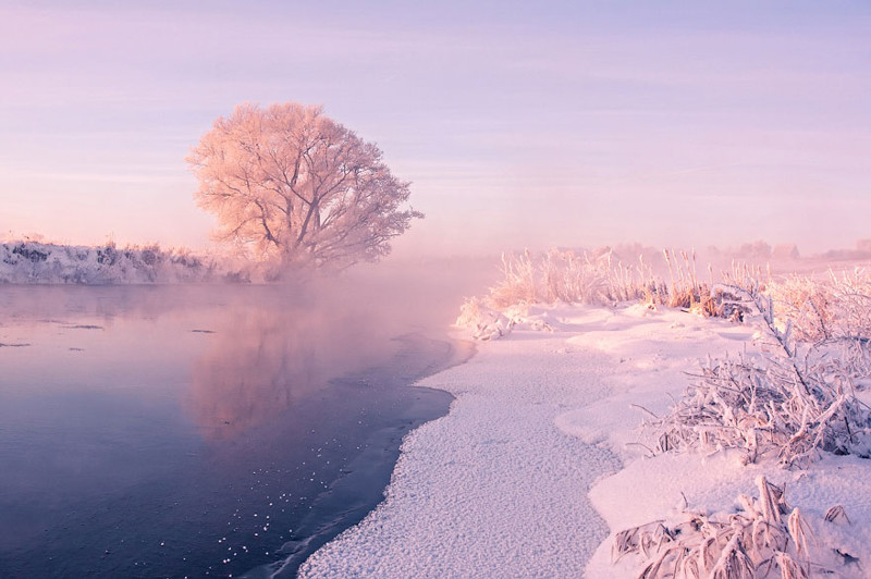 Белорусский фотограф встаёт рано на рассвете, чтобы запечатлеть красоту зимы