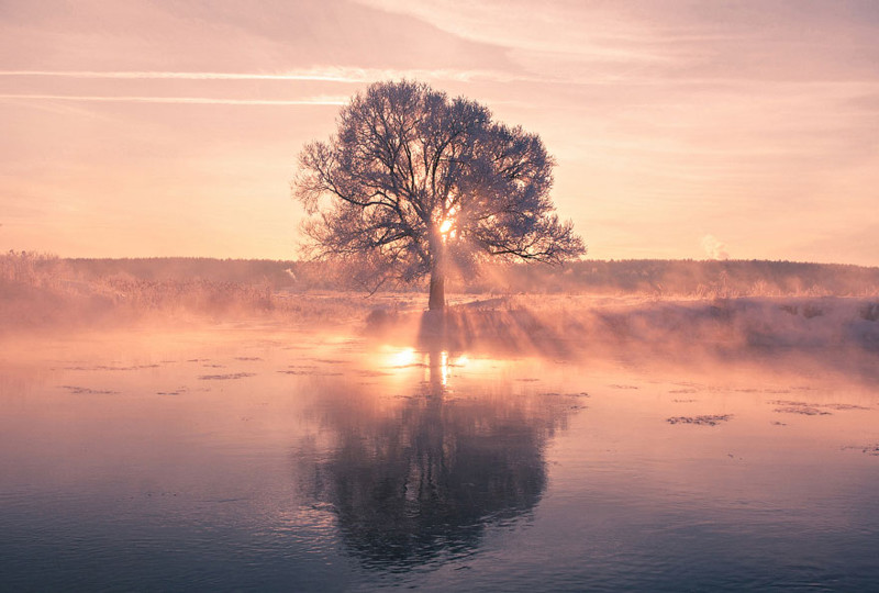 Белорусский фотограф встаёт рано на рассвете, чтобы запечатлеть красоту зимы
