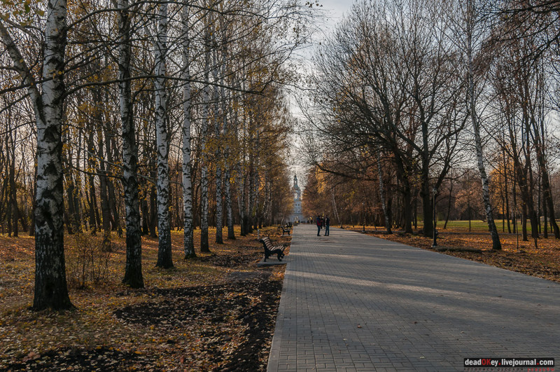 4. Главная аллея парка, заложенного А.Т. Болотовым, который был управляющим усадьбы в 1776-1796 гг.