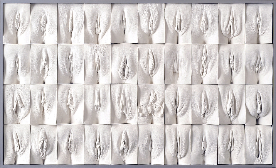 Британский художник выставляет панно из слепков женских гениталий искусство, люди, маразм