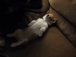 Сладкого сна