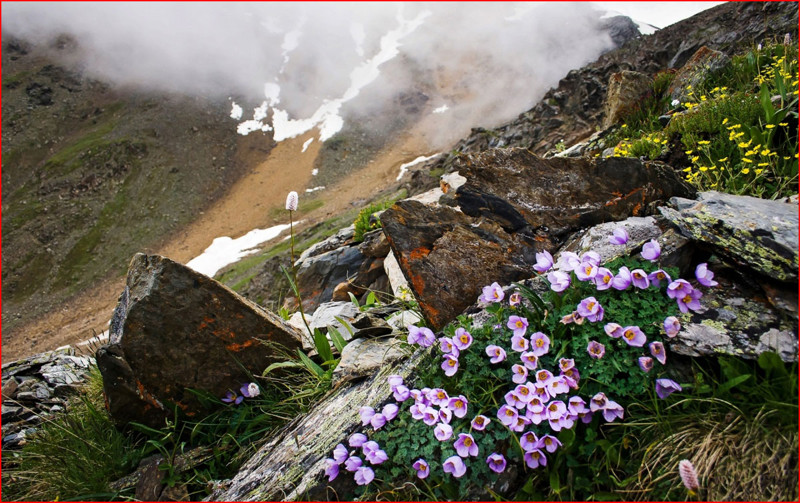 Лучшая фотовыставка о России 