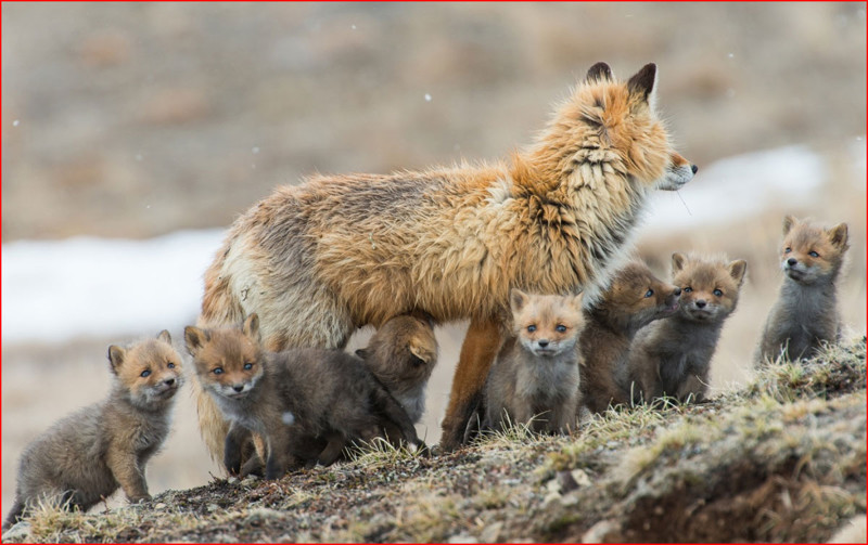 Лучшая фотовыставка о России 