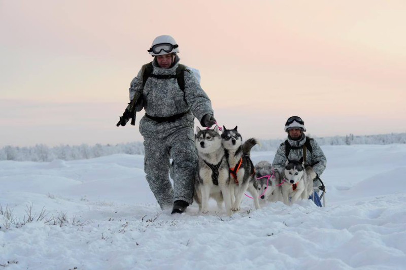 Разведывательная рота отдельной арктической мотострелковой бригады СФ 