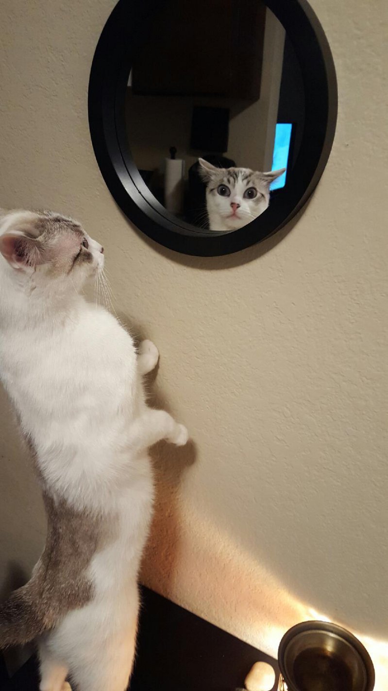 Впервые видит себя в зеркале