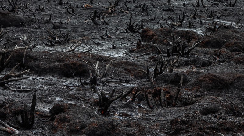 Страшный пожар на острове Тасмания