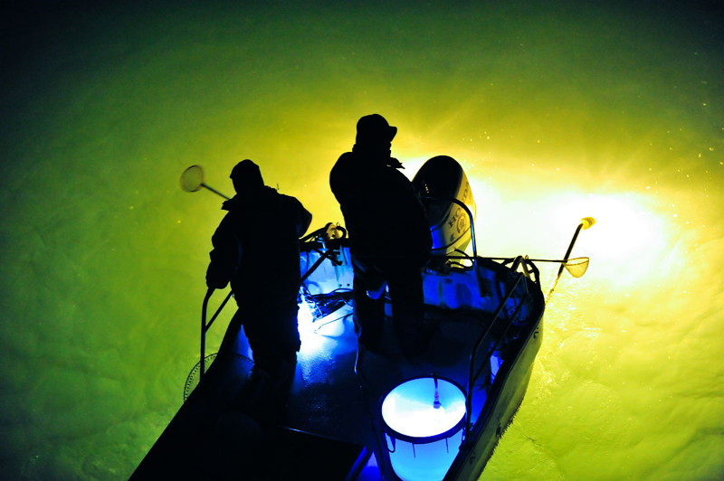 Ночная рыбалка в Японии при свете фонарей
