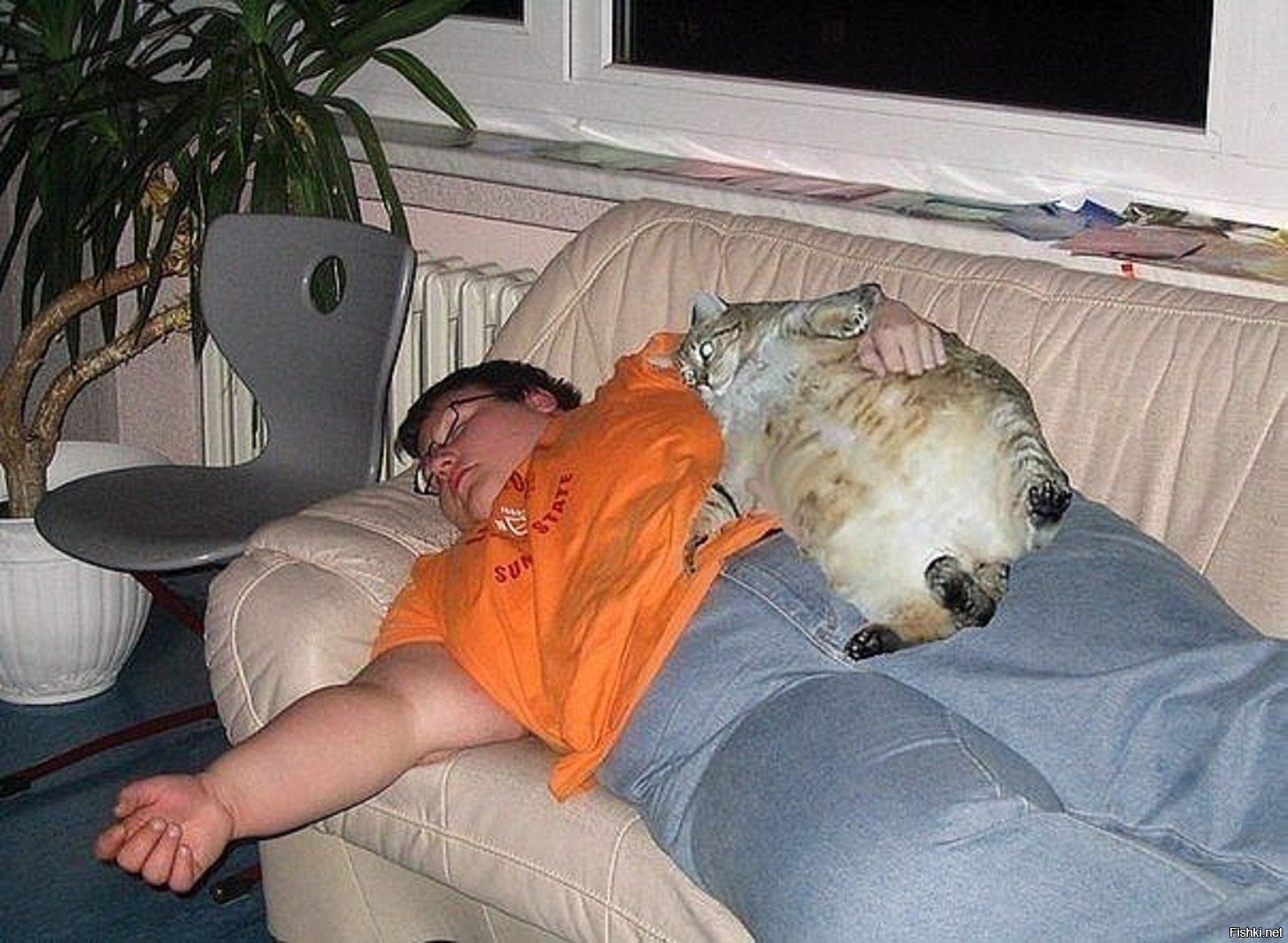 Толстый кот с толстым хозяином