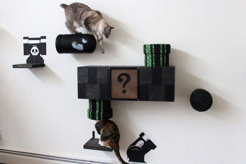 Mario Cat Complex 2.0.У хозяина этих кошек отличная фантазия!
