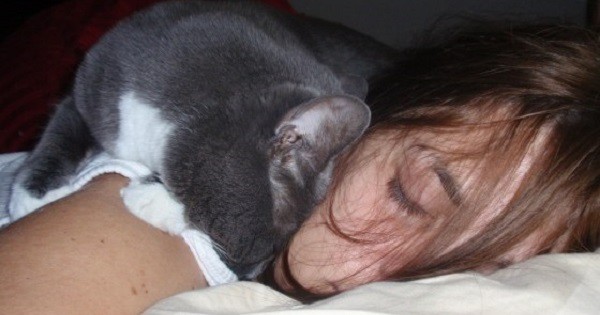 Вот почему коты так любят спать на хозяевах!