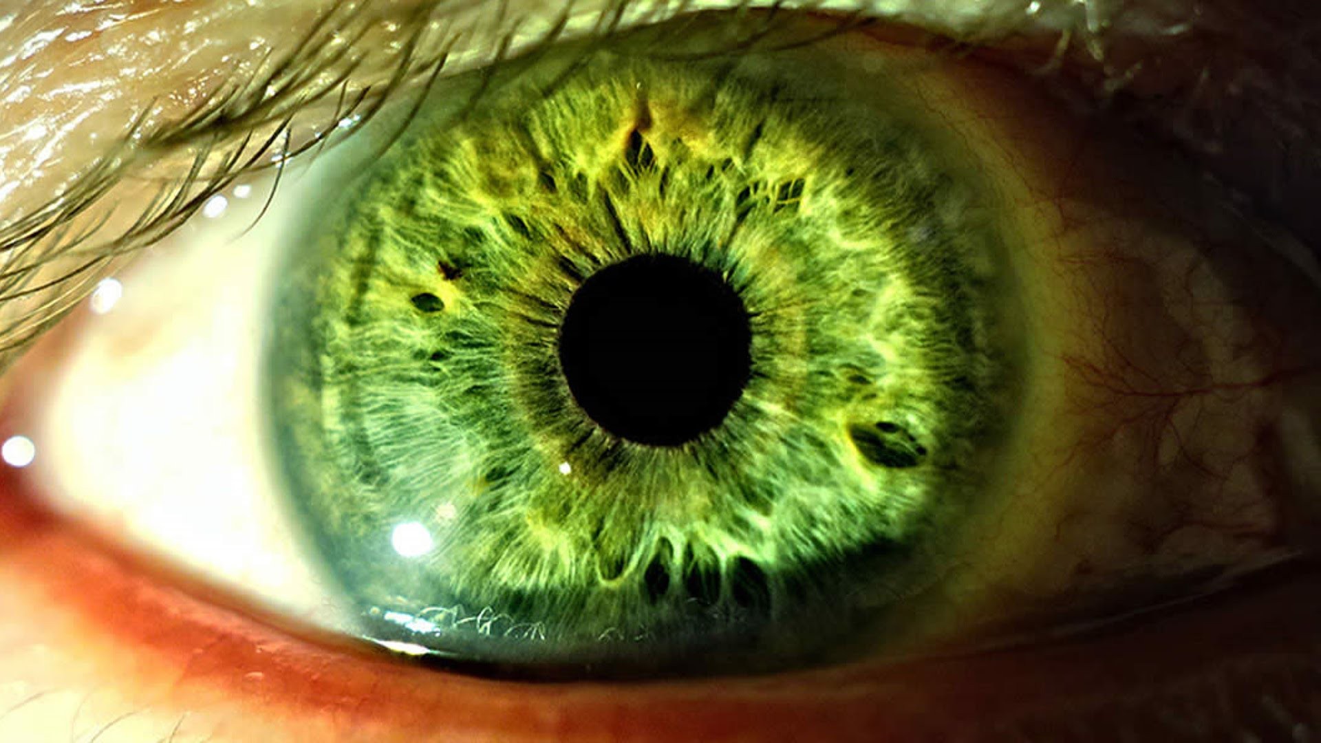 Ярко зеленые глаза