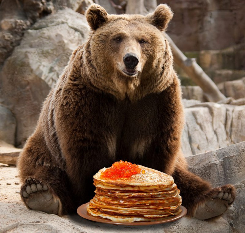 Как медведь стал символом России 