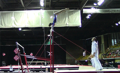 Страховка спортивная гимнастика