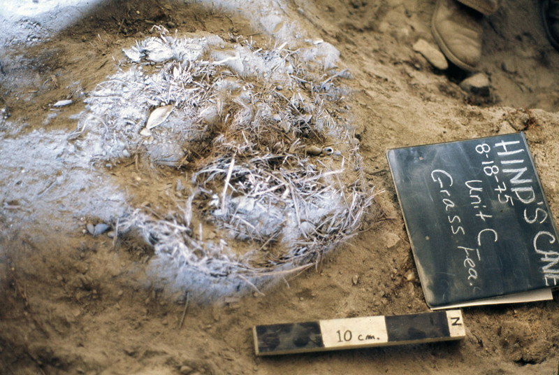9. Самый старый матрас (77.000 лет).