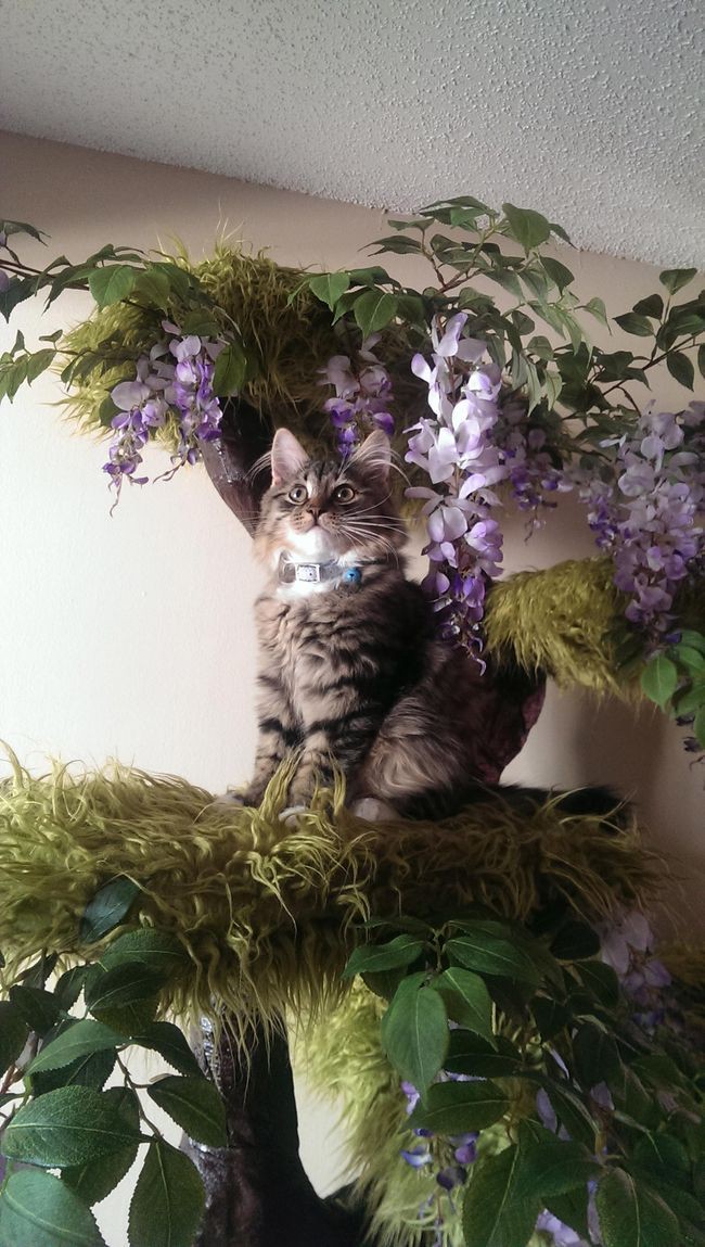 Деревянный кот - Ручная резьба - BazarOuchy
