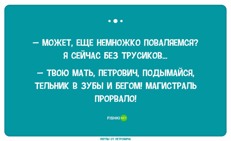  40 прикольных перлов от Петровича