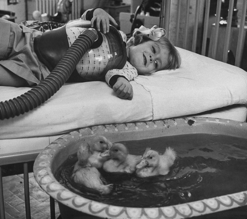 Животные, как средство детской терапии, 1956 год.