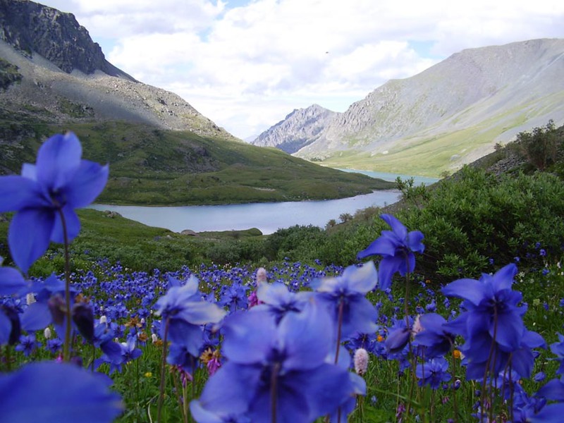 И замкнули топ-10 лучших мест Алтайские горы