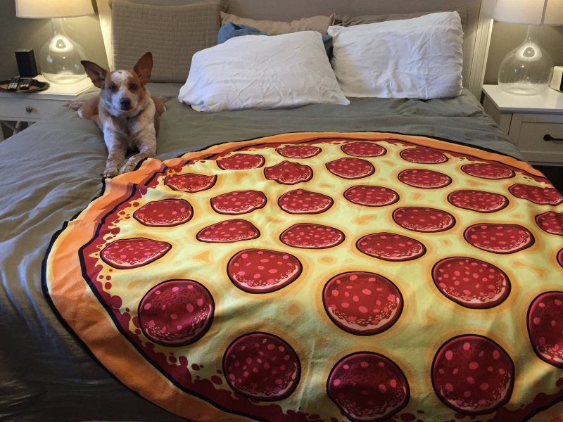 Белье с изображением пиццы