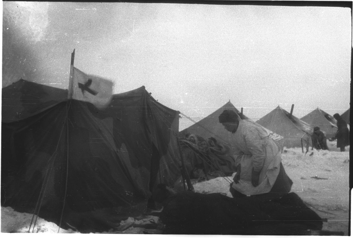 Наталья боде военные фотографии