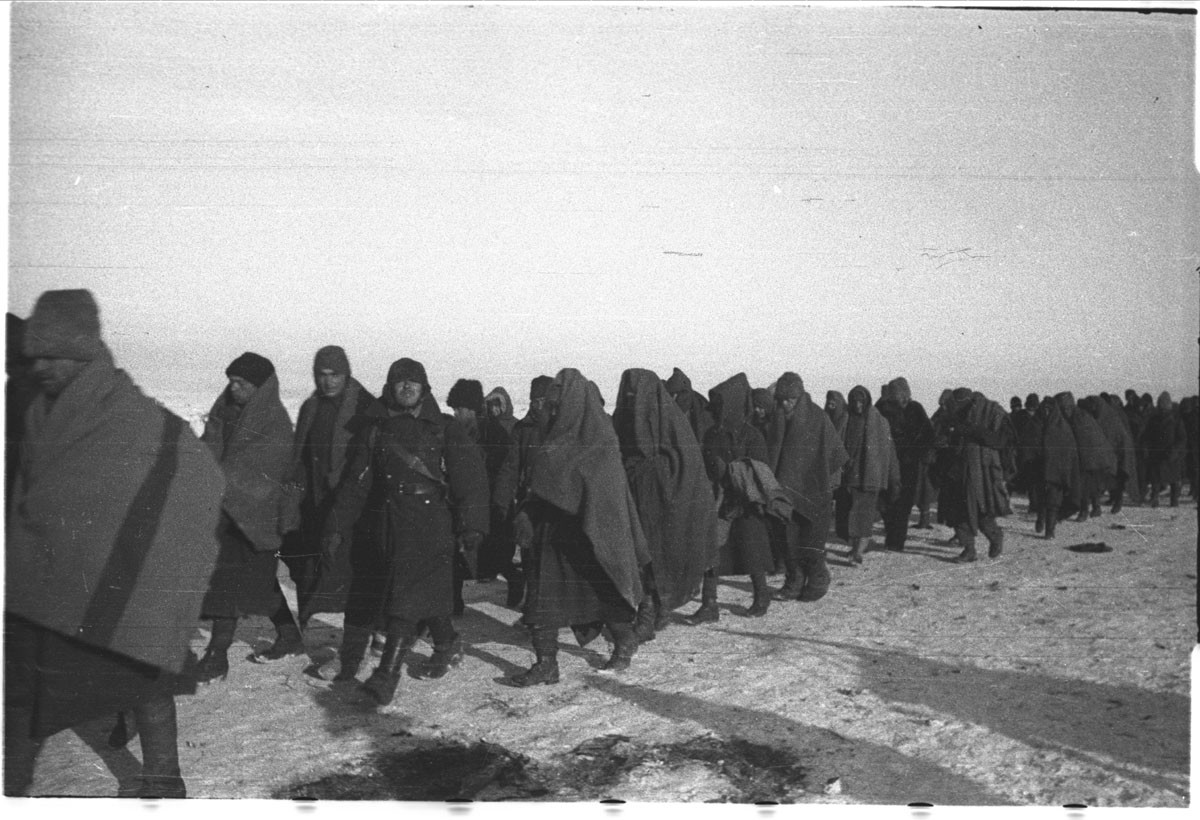 Наталья боде военные фотографии