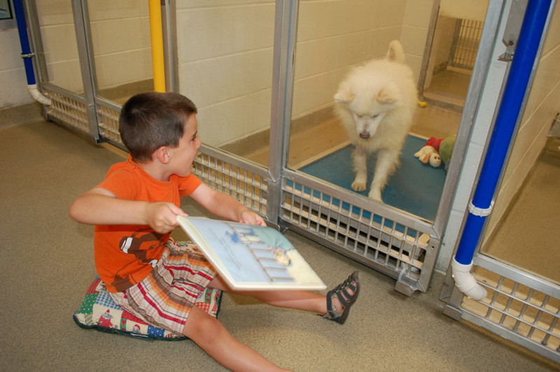 "Чтение помогает утешить собаку, избавить от тревоги "