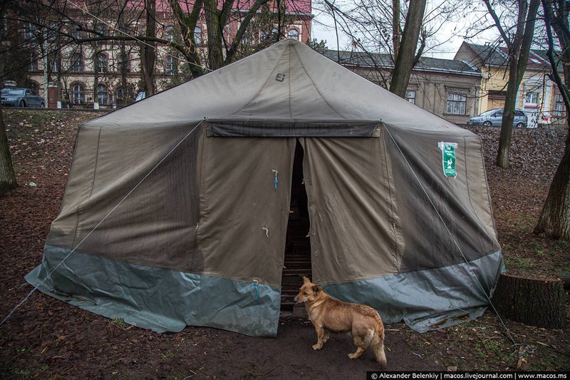 23 В парке Красный крест установил армейскую палатку.