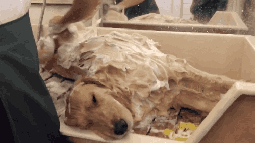 Самый чистый кайф Самый чистый кайф