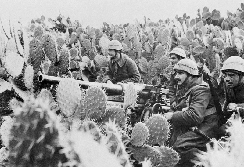 90. Итальянские артиллеристы в зарослях кактуса. 31 марта 1943 года, Тунис.