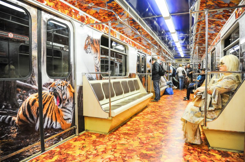 Тематическое метро: поезда-музеи и галереи